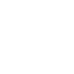 CREA REALTOR® membership mark — Yanni Raposo, Mississauga & GTA