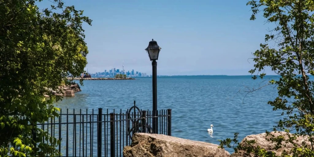 Lake Ontario view with swan and Toronto skyline from Lorne Park, Mississauga